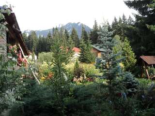 Фото Фермерские дома Casa Serban г. Дурэу